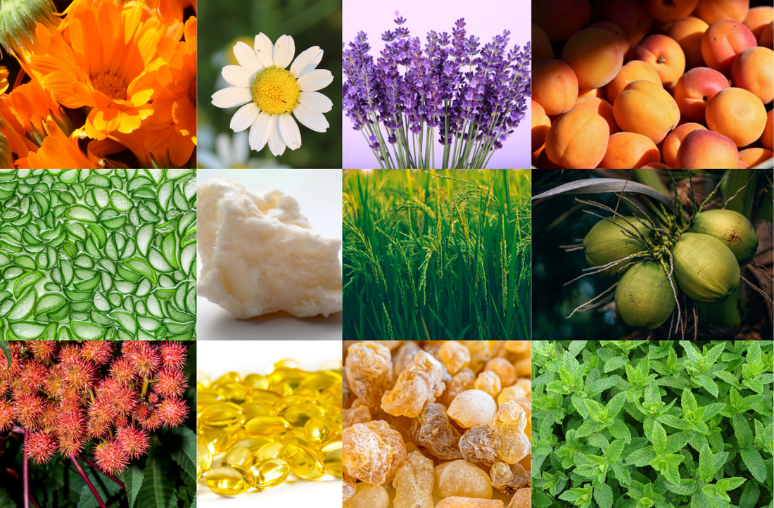 Flore Cura Breast Balm 